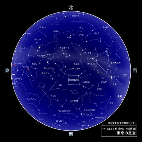 11月25日是什麼星座|11月25日出生是什么星座